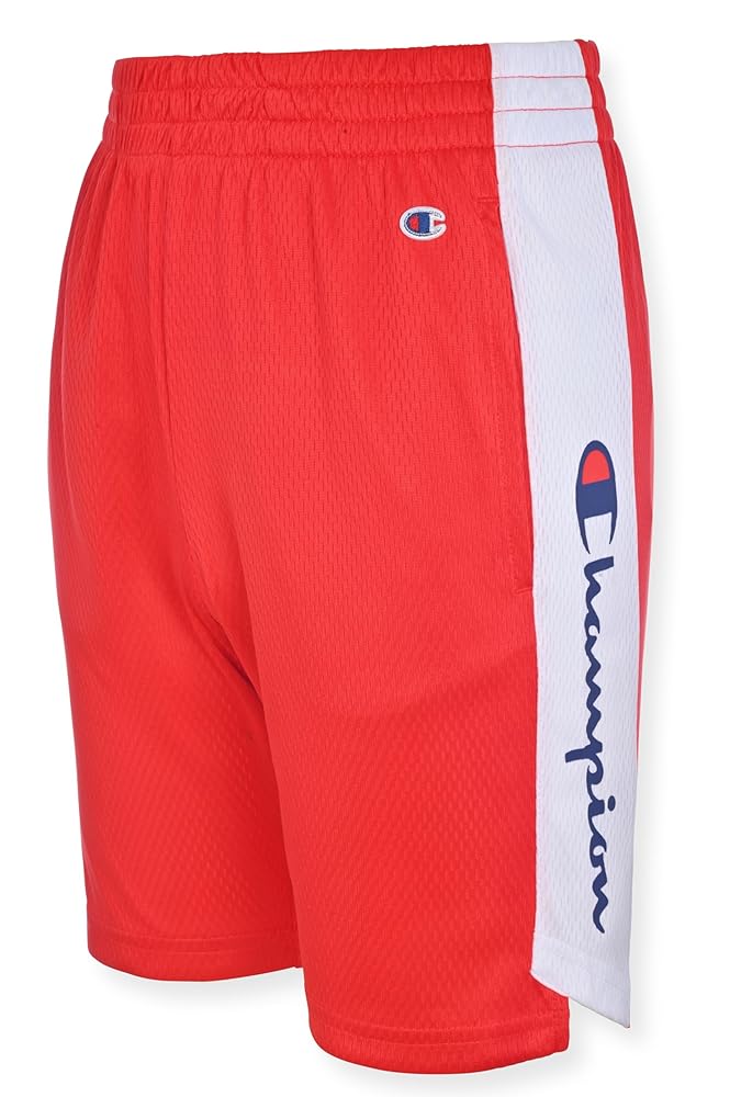 Amazon.com: Champion Boys Shorts 2 Pack Mesh Basketball